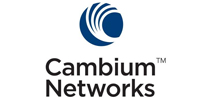 cambiums